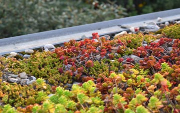 the cost of Hackenthorpe green roof installation