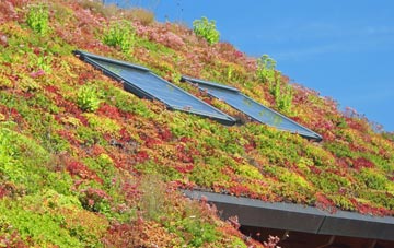 Hackenthorpe living roof systems
