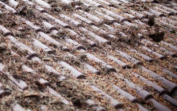 Hackenthorpe roof cleaning companies